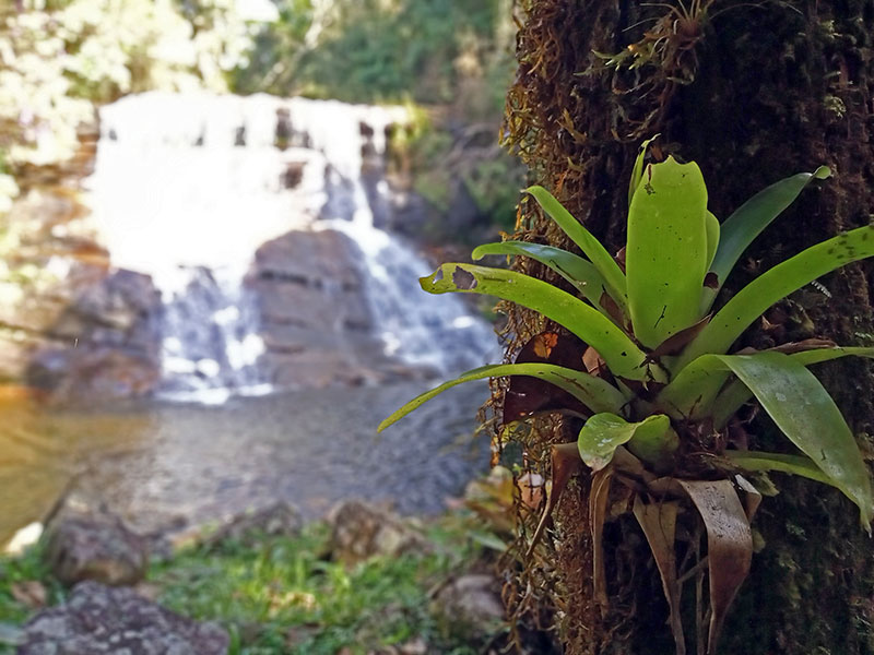 Sete Quedas Waterfall