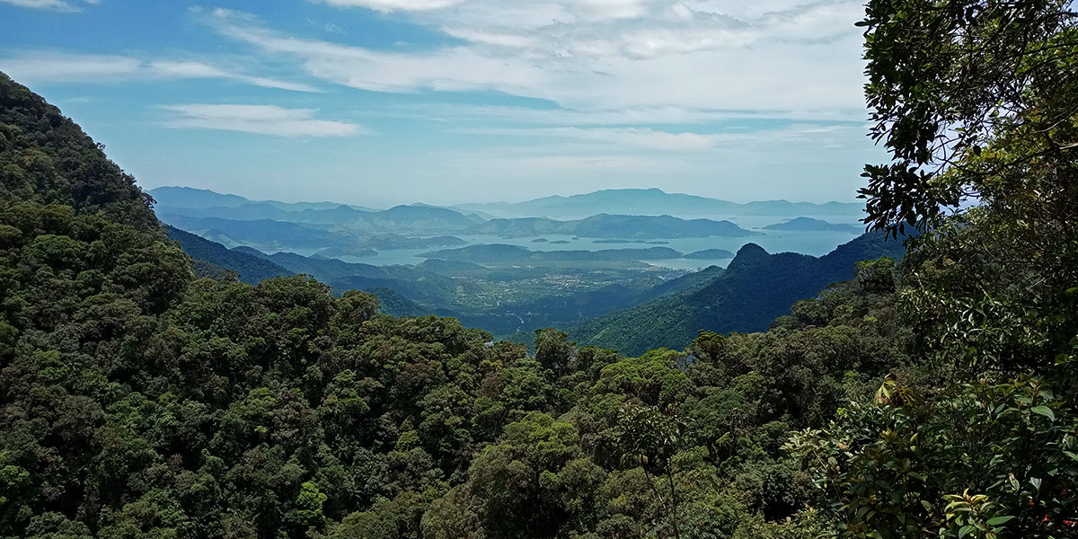 Bracuí Lookout